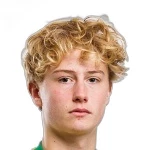 O. Tiitinen