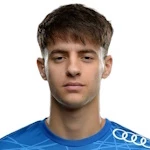 N. Demchenko