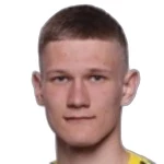 P. Pashevich