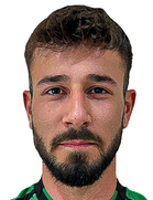 M. Ulaman